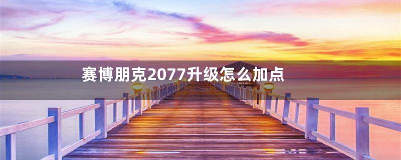 赛博朋克2077升级怎么加点