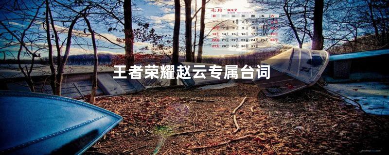 王者荣耀赵云专属台词
