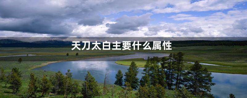 天刀太白主要什么属性
