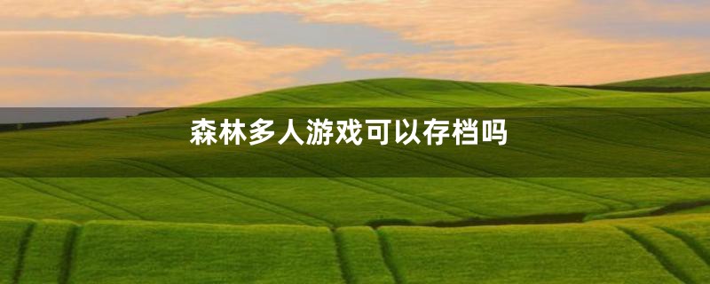 森林多人游戏可以存档吗
