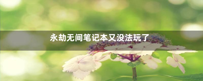 永劫无间笔记本又没法玩了