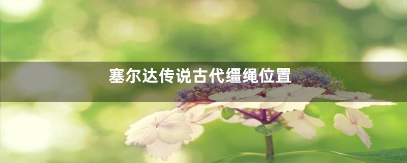 塞尔达传说古代缰绳位置