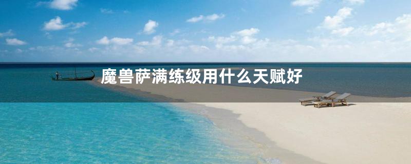 魔兽萨满练级用什么天赋好