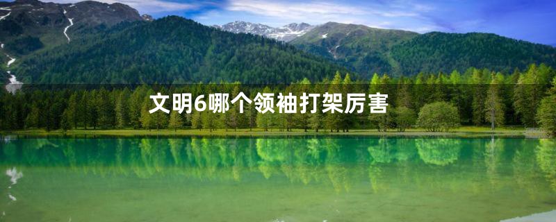文明6哪个领袖打架厉害