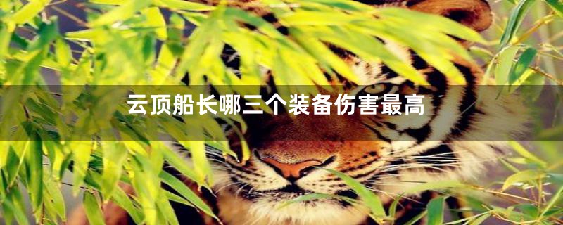云顶船长哪三个装备伤害最高