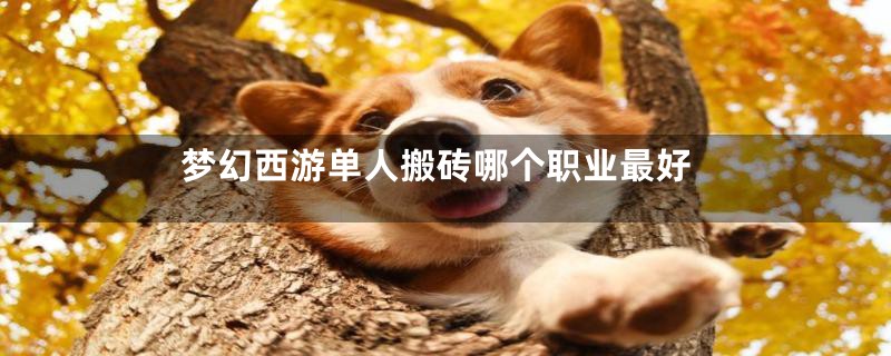 梦幻西游单人搬砖哪个职业最好