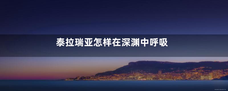 泰拉瑞亚怎样在深渊中呼吸