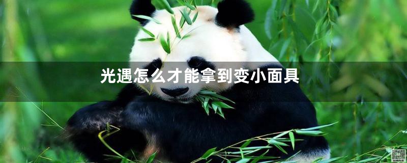 光遇怎么才能拿到变小面具