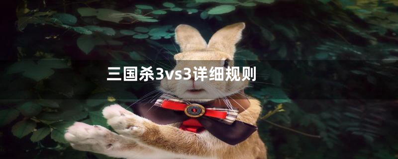 三国杀3vs3详细规则