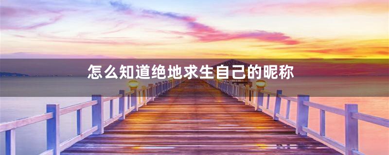 怎么知道绝地求生自己的昵称
