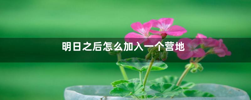 明日之后怎么加入一个营地