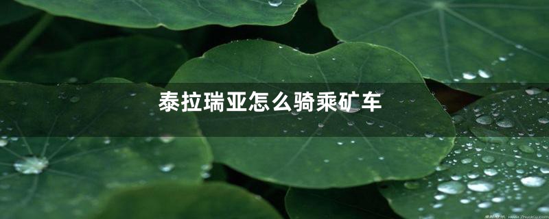 泰拉瑞亚怎么骑乘矿车