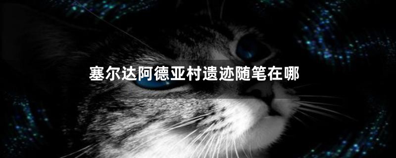 塞尔达阿德亚村遗迹随笔在哪