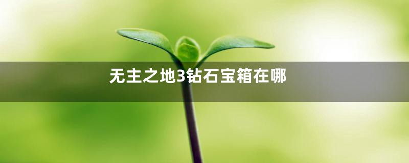 无主之地3钻石宝箱在哪