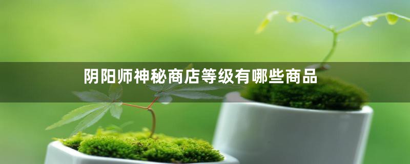 阴阳师神秘商店等级有哪些商品