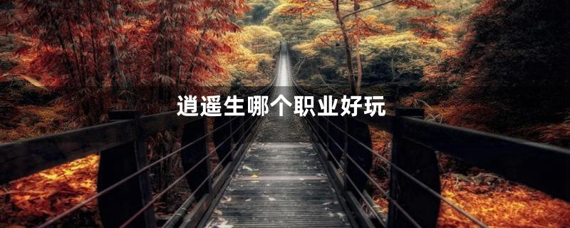 逍遥生哪个职业好玩