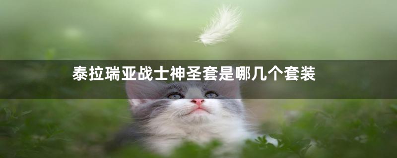 泰拉瑞亚战士神圣套是哪几个套装