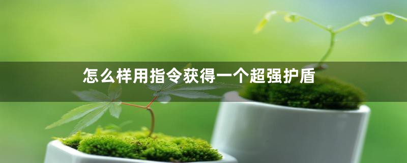 怎么样用指令获得一个超强护盾