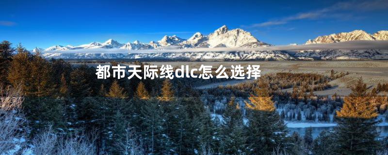 都市天际线dlc怎么选择