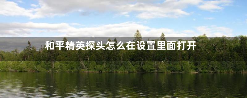 和平精英探头怎么在设置里面打开