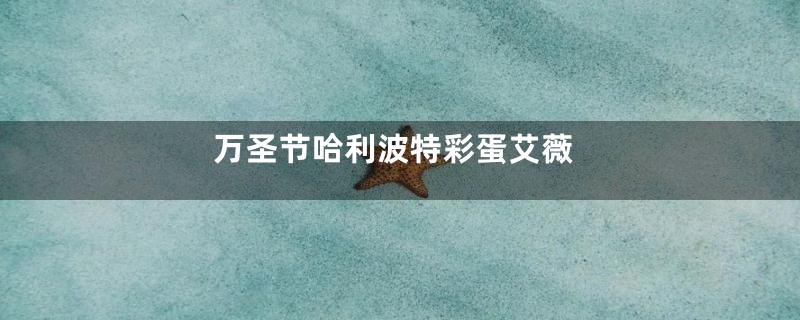 万圣节哈利波特彩蛋艾薇