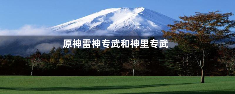 原神雷神专武和神里专武