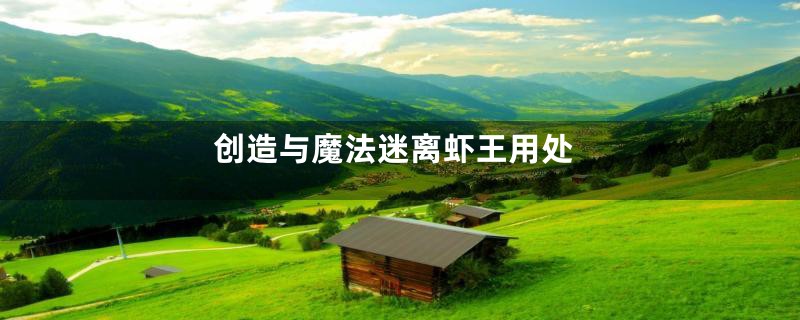 创造与魔法迷离虾王用处