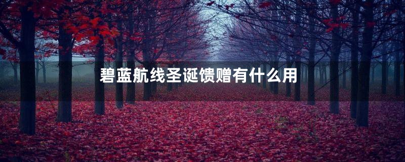 碧蓝航线圣诞馈赠有什么用