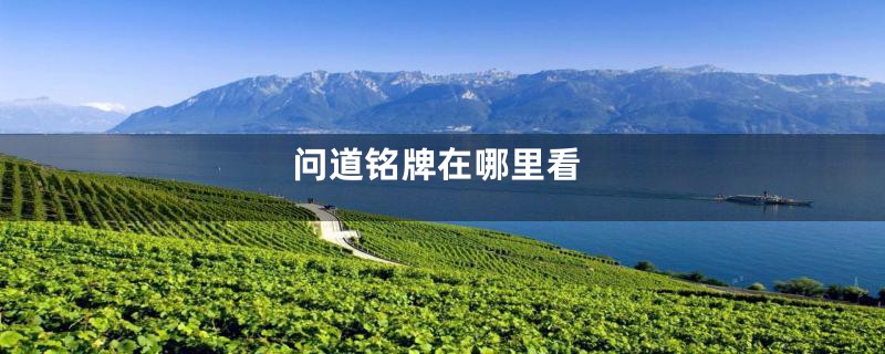 问道铭牌在哪里看