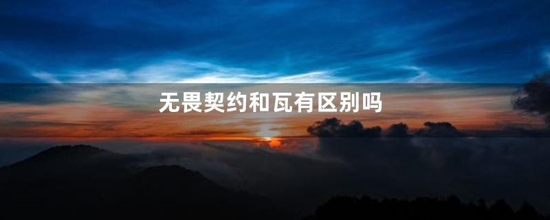 无畏契约和瓦有区别吗