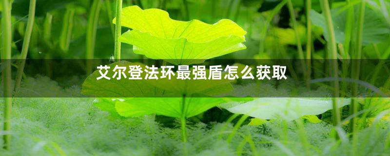 艾尔登法环最强盾怎么获取