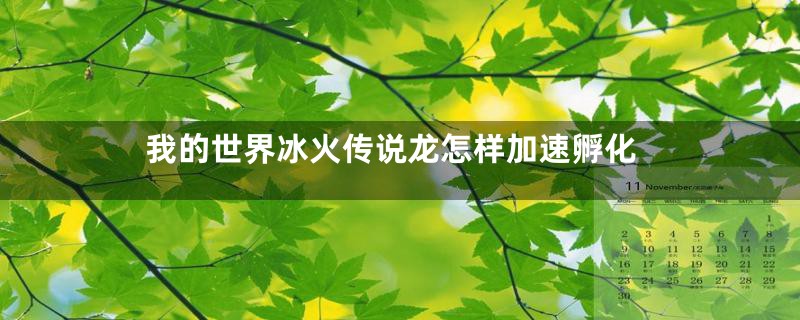 我的世界冰火传说龙怎样加速孵化
