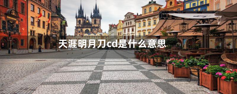 天涯明月刀cd是什么意思