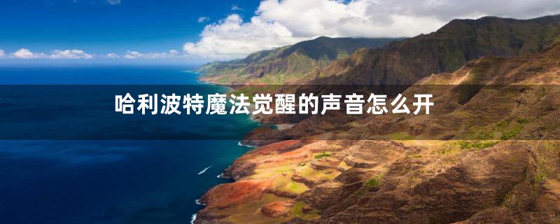 哈利波特魔法觉醒的声音怎么开