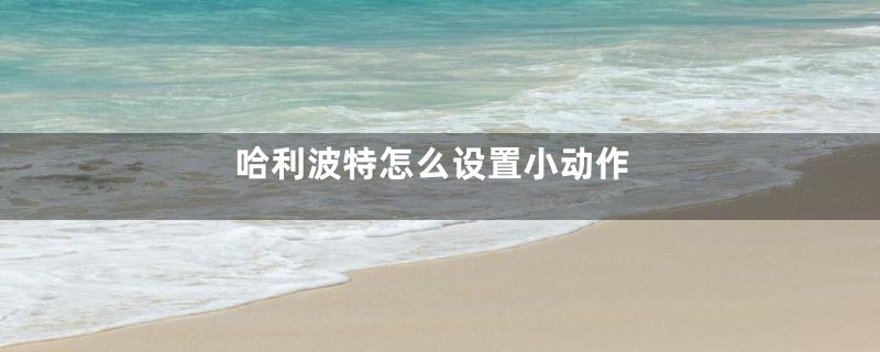 哈利波特怎么设置小动作
