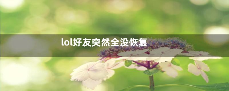 lol好友突然全没恢复