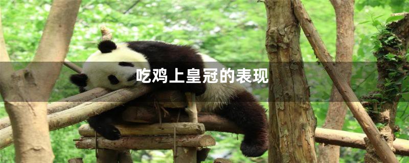 吃鸡上皇冠的表现