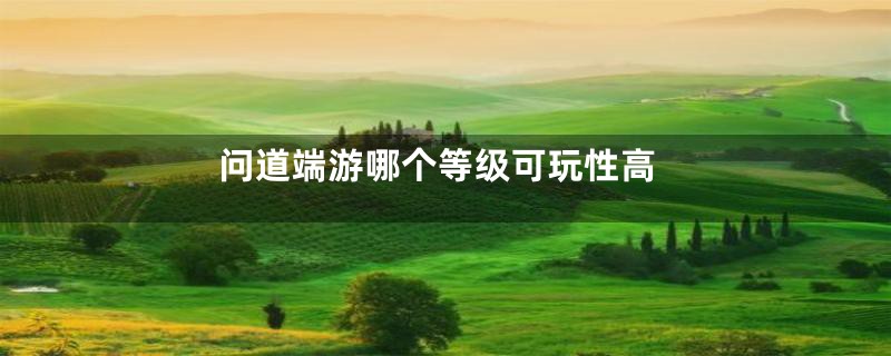 问道端游哪个等级可玩性高