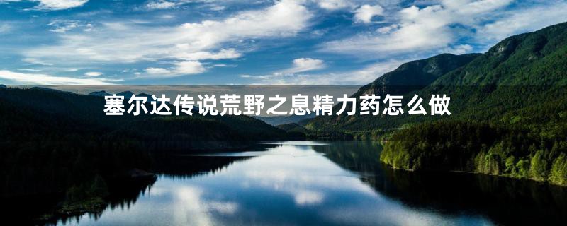 塞尔达传说荒野之息精力药怎么做