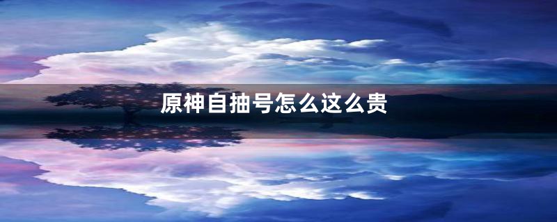 原神自抽号怎么这么贵