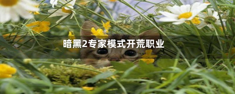暗黑2专家模式开荒职业