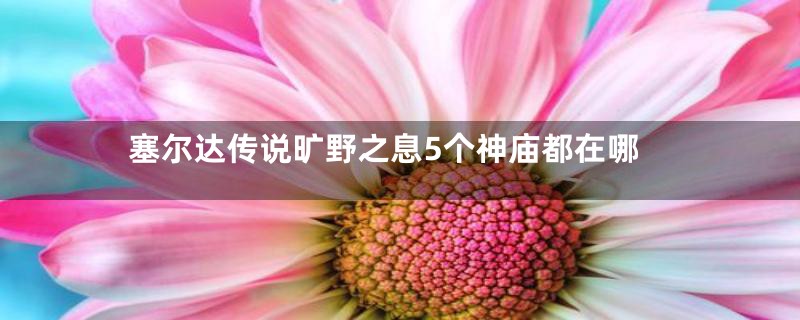 塞尔达传说旷野之息5个神庙都在哪