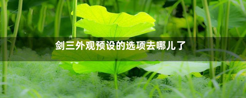 剑三外观预设的选项去哪儿了