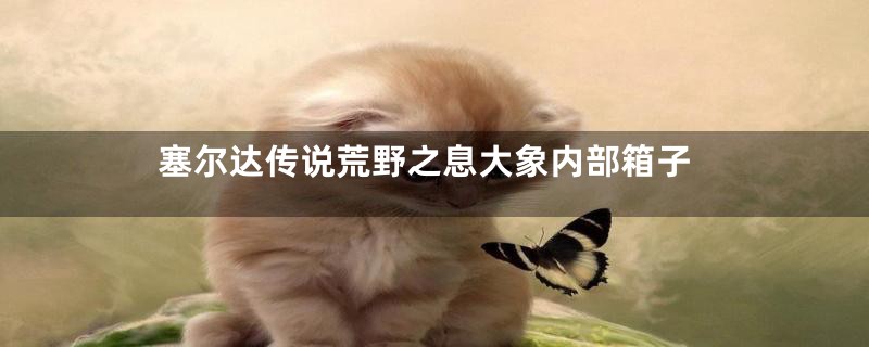 塞尔达传说荒野之息大象内部箱子