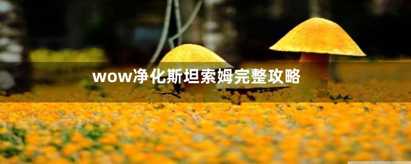 wow净化斯坦索姆完整攻略