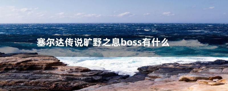 塞尔达传说旷野之息boss有什么