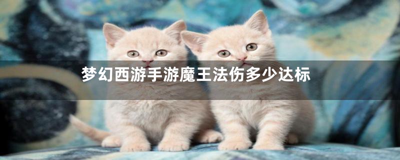梦幻西游手游魔王法伤多少达标