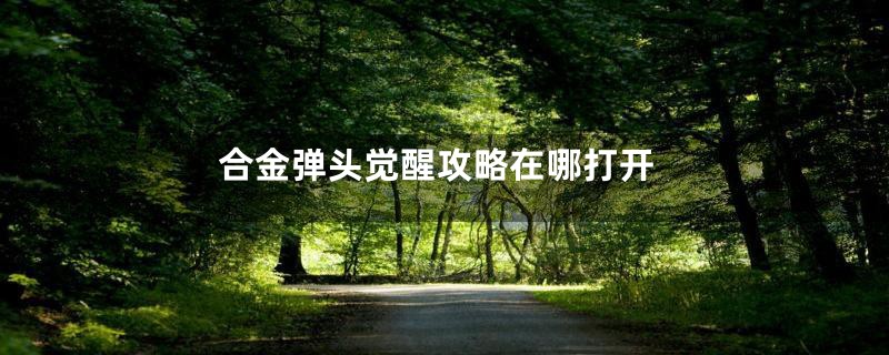 合金弹头觉醒攻略在哪打开