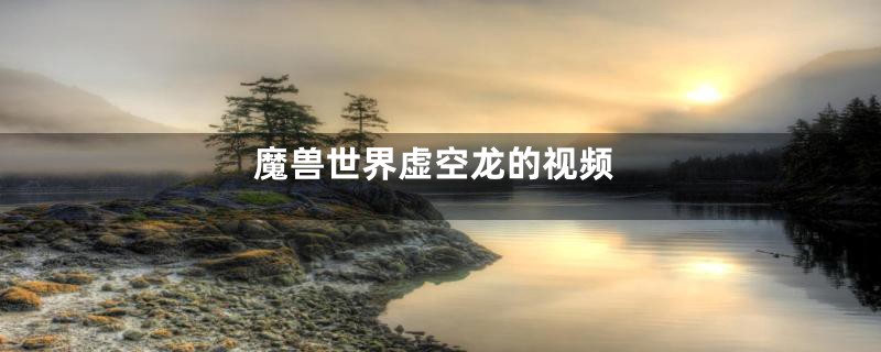 魔兽世界虚空龙的视频