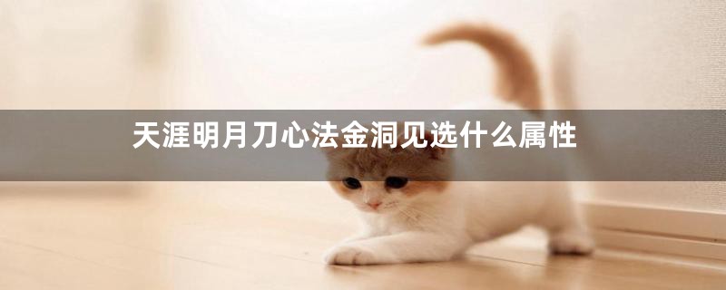 天涯明月刀心法金洞见选什么属性
